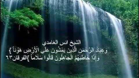 صوت يبكي الحجر   الشيخ أنس الغامدى    اجمل قراءة للقرآن الكريم