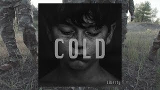 Liberty - Cold || 432Hz