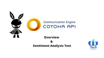 COTAHA API Sentiment Analysis Testing