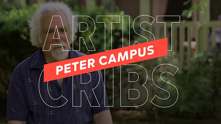 Artist Cribs: Peter CampusMedia Artist, Cat Person...