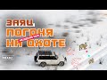 В погоне за зайцами | долгожданный снег, тропление зайца, загон зайца,  Февральская охота дикий заяц