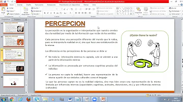 ¿Cómo afectan las diferencias individuales a la percepción?