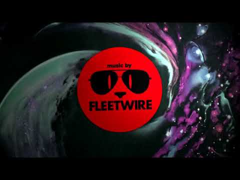 Fleetwire - Romp.fla