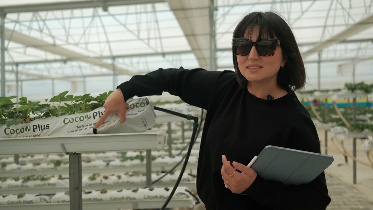 📍 Berry Hill Kurucusu Filiz İlter ile Serada Bir Gün | Geleceğe Tarım