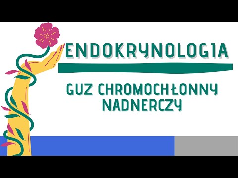 Wideo: Rak Nadnerczy (guz Chromochłonny) U Kotów