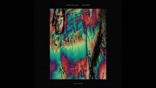 Darlyn Vlys - Runner (Third Son Vocoder Mix)