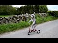 Barry the dog that rides a tricycle