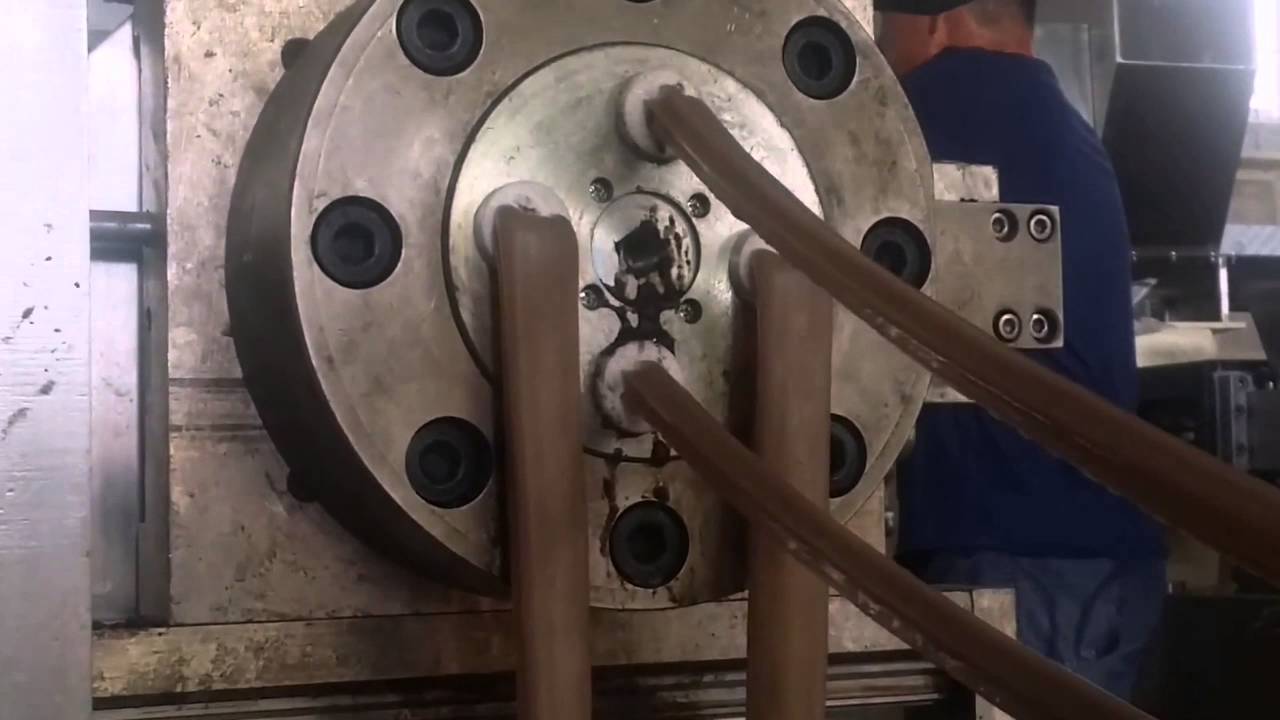 Pet food Extruder machine YouTube