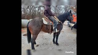 Maximus screenshot 5