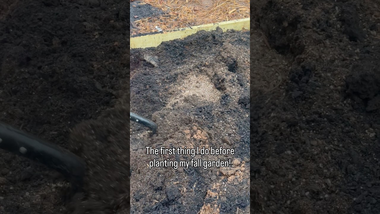 Uploads from From Seed to Spoon Garden Planning App