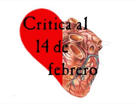 conocimiento filosofico Crítica al 14 de febrero