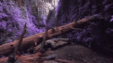 Green to Violet lut - Instagram & Spark AR filter