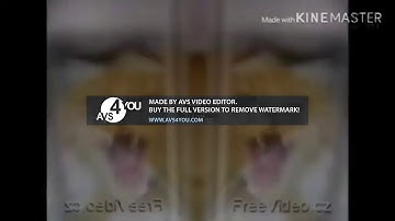 Preview 2 Bad Cat Effects (Sponsored By P2UKCE) in Speed x2