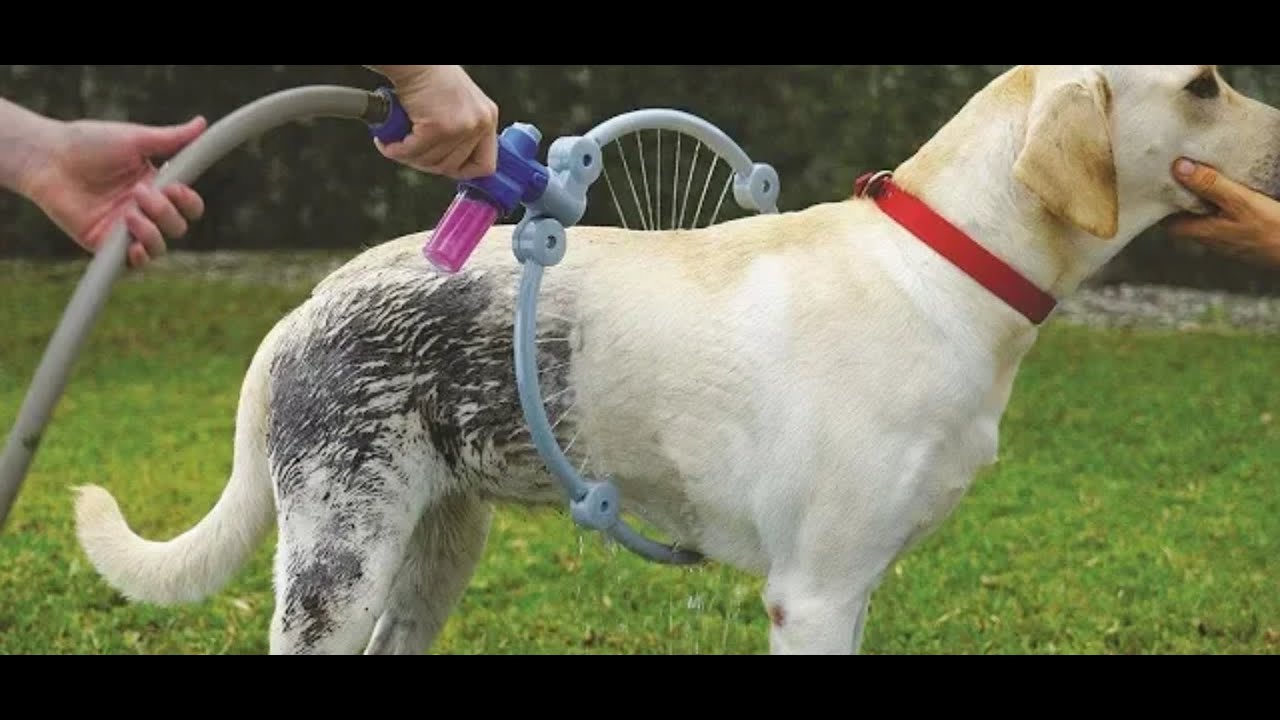 5 AMAZING GADGETS EVERY PET OWNERS MUST HAVE