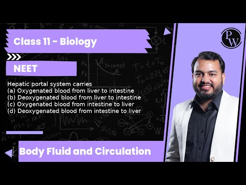 Hepatic portal system carries (a) Oxygenated blood from liver to in...