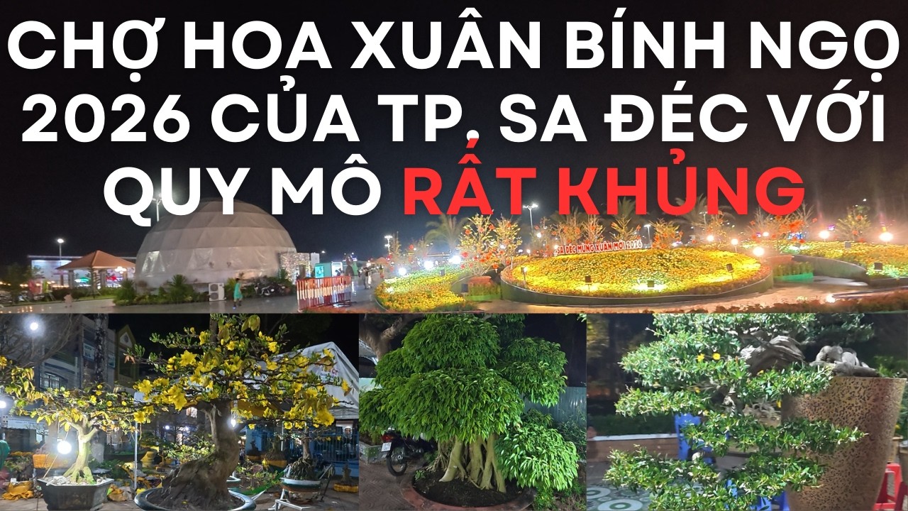 Tập 8. Hội hoa xuân tết Nguyên Đán Bính Ngọ 2026 Tp. Sa Đéc - Đồng Tháp | TRONG TUAN BT