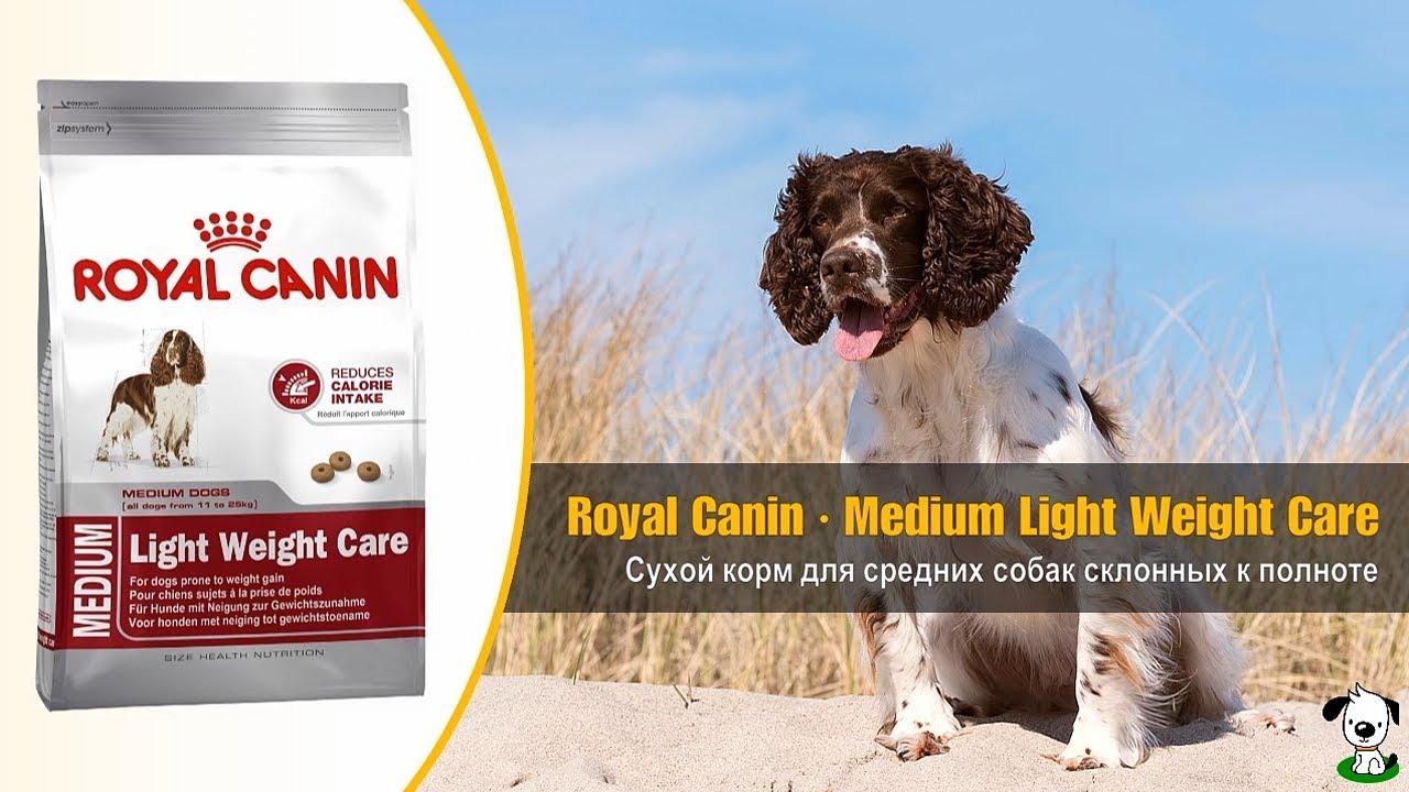 Royal Canin Light для собак мелких пород.