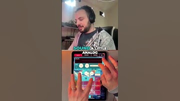 1-Minute Koala Sampler Tutorial: Building a LUSH Lead from Scratch in Quokka Synth