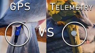 GPS vs Telemetry - Which is Right For Your Parrot? screenshot 5