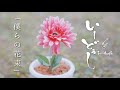 【新曲】いーどぅし-「僕らの花束」M/V Shurt ver.