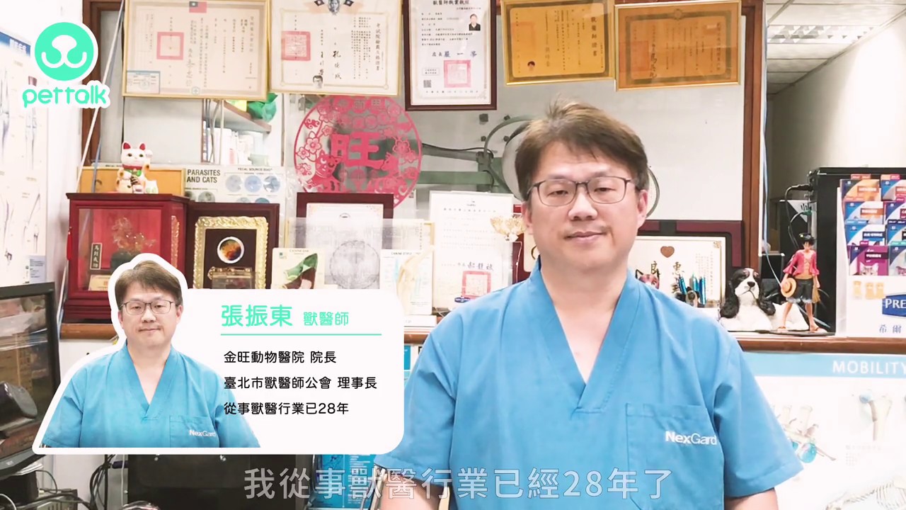 Pettalk專訪 全台動物醫院收費標準 專業獸醫師 張振東醫師 Pettalk 說寵物
