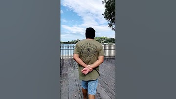 that bird 🐦😻 #music #trending #musicsong #youtubeshorts #viralshorts #shorts