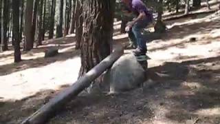 Dangerzone goes Pine Needle Boarding