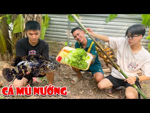 Video Hữu Bộ | Cá Mú Khổng Lồ Nướng Mọi - youtube
