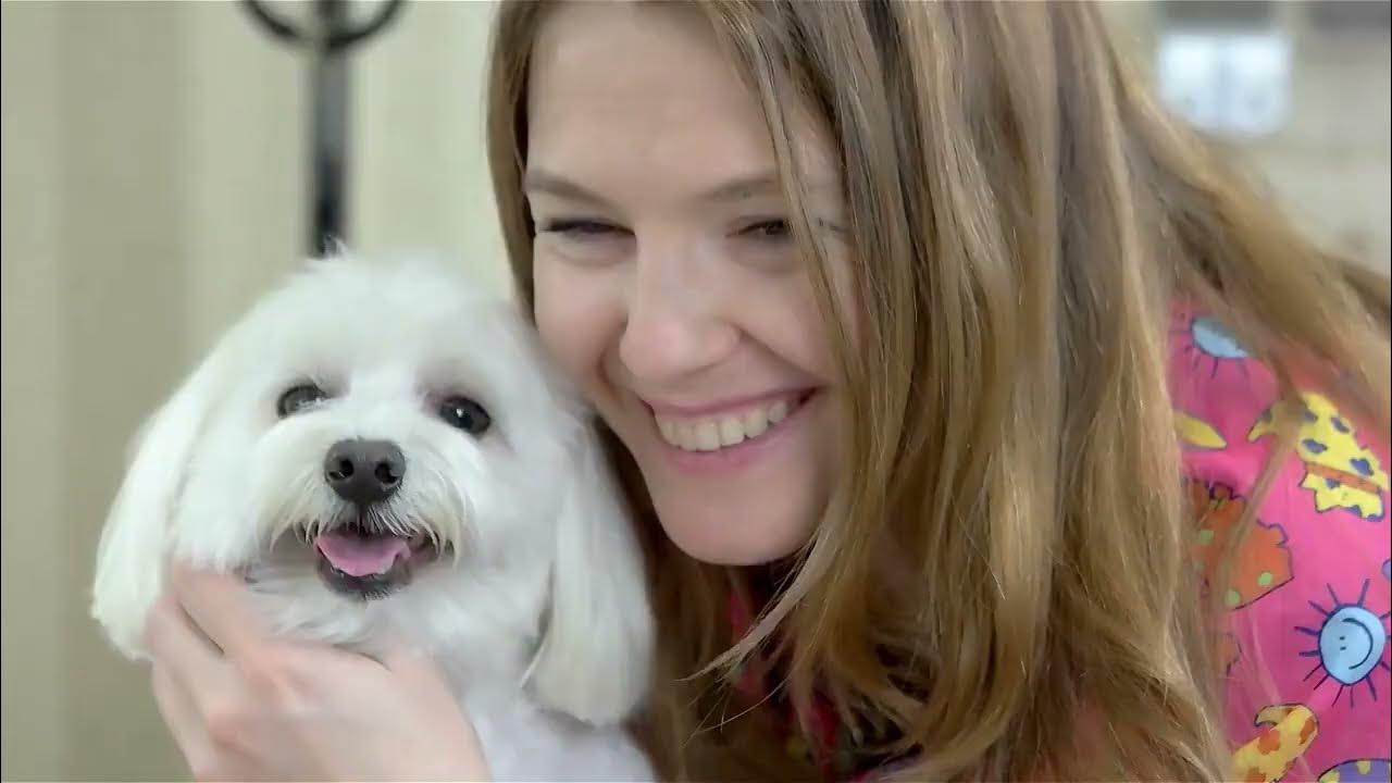 The Role Of Emotional Support Dogs In Mental Health Recovery YouTube the-role-of-emotional-support-dogs-in-mental-health-recovery-youtube