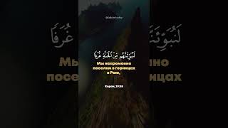 Сура 29. Аль-Анкабут (Паук) аяты 56-59🌙 Абдулрахман Моссад #quran #koran #alankabut #shorts #коран