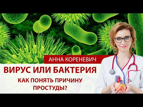 Вирус или бактерия?