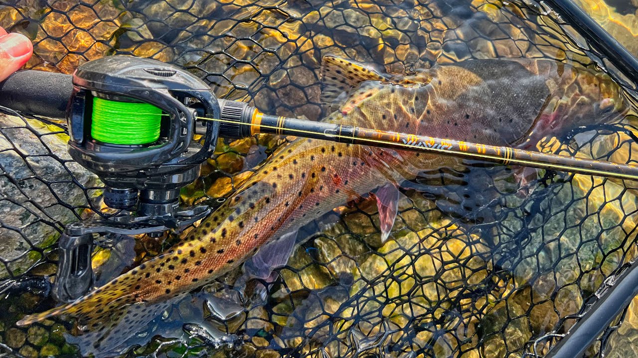 Can You Trout Fish With a Baitcaster: Expert Tips & Tricks