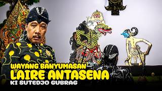 Download lagu LIVE REC. Wayang Kulit Banyumasan || Ki Tedjo Gubrag Sidareja Lakon Laire Antasena