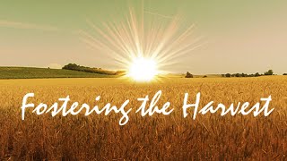 Fostering the Harvest Trailer 1: Change