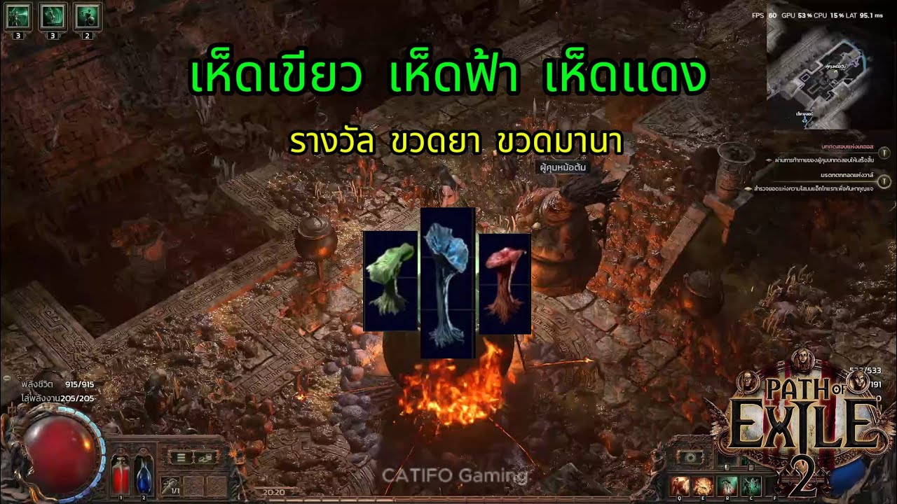 POE2: Act3 ????????????????????? ??????????????????????????? ????????????????????? (Red Mushroom Green Mushroom and ...