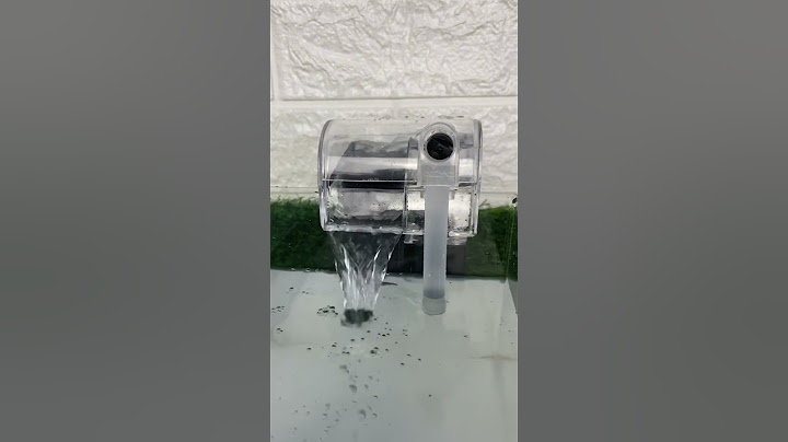 Perbedaan filter gantung dan airator #aquarium #akuarium #akuariummini #filter #filterakuarium