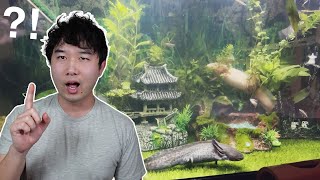 the CRAZIEST Axolotl tank I've seen | Fish Tank Review 227