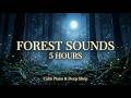 5 Hours Night Forest Sounds 🌙 Crickets, Wind & Calm Piano Music for Deep Sleep & Relaxation