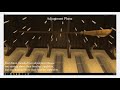 VSS (2021) Reaching Affordances in VR