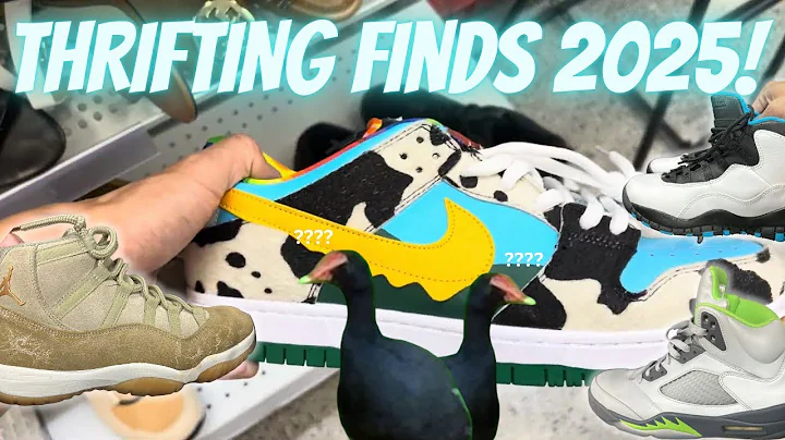 I found RARE "CHUNKY DUNKY" NIKE SB DUNKS at my thrift store!!