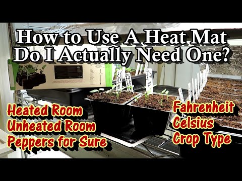 How to Use a Heat Mat for Seed Starting in Heated & Unheated Spaces: Cool  & Warm Crops & Peppers
