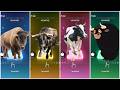 Bison Bull Cow Ferdinand Animals Tiles Hop Coffin 