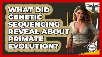 What Did Genetic Sequencing Reveal About Primate Evolution? - Anthropology Insights