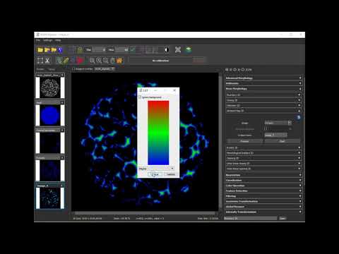 Distance Map computation and colormap