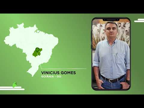 O GADO EM DESTAQUE DA REGIÃO DE GOIÂNIA