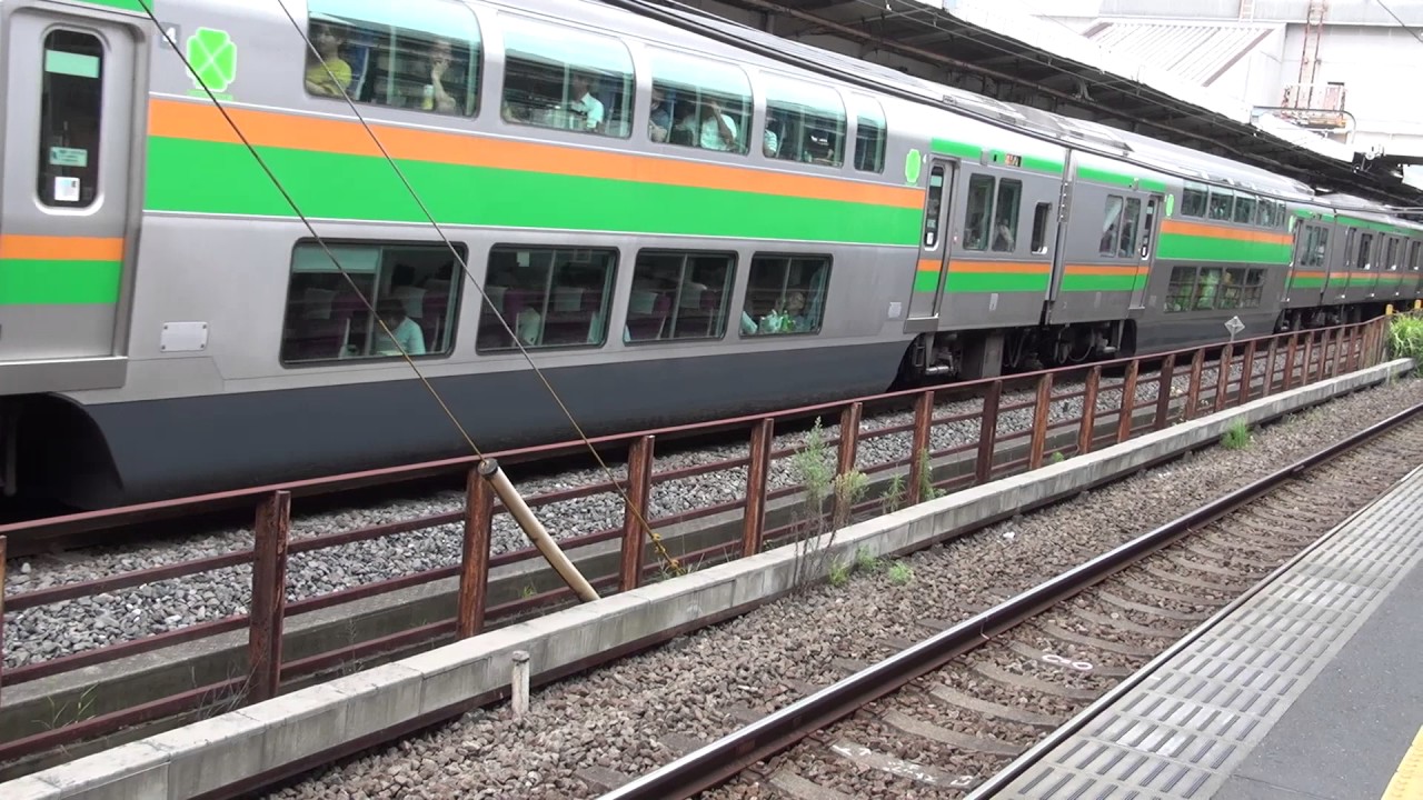 E231系東海道線 JR東海道線 藤沢駅 グリーン車付近 休日午後の混雑 E233系 E231系 電車