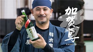 【杜氏が解説！】《冬の季節酒 第1弾》加賀鳶 極寒純米 無濾過・生 | 造り・味わい・ペアリング