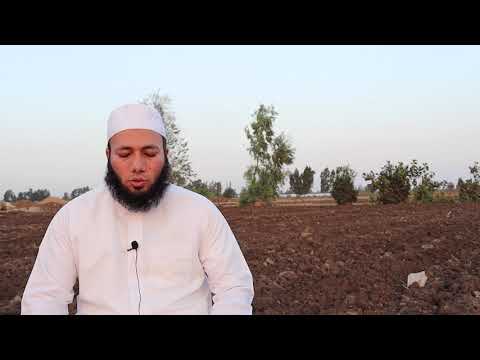 الأقحوان في المنام للشيخ أحمد عبد الحافظ