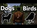 Shenmue Music: FREE 1 | Dog & Bird Sounds πΆπ¦