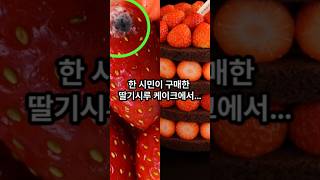 오픈런 했던 딸기시루, 곰팡이 논란 터졌다!